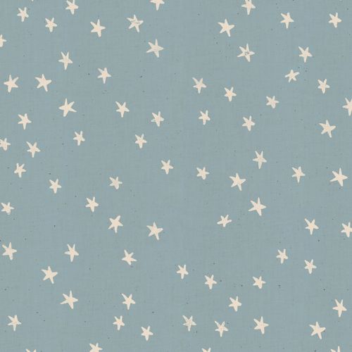 COTTON BY ALEXIA MARCELLE ABEGG FOR RUBY STAR SOCIETY - STARRY SOFT BLUE