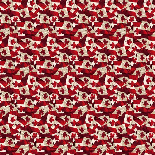 OH CANADA 12 - STONEHENGE COTTON BY DEBORAH EDWARDS FOR NORTHCOTT - WAVING FLAGS RED/CREAM